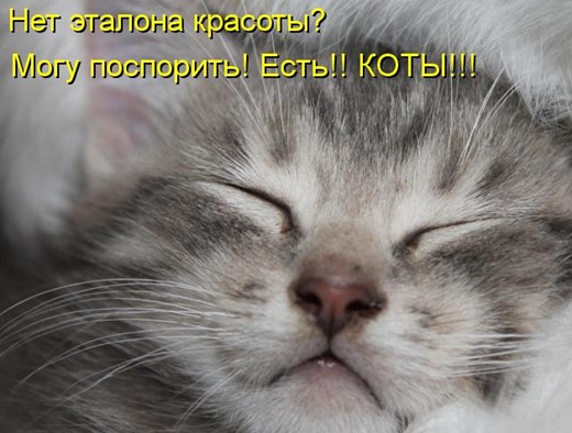 [42cbe3461f%255B6%255D.jpg]