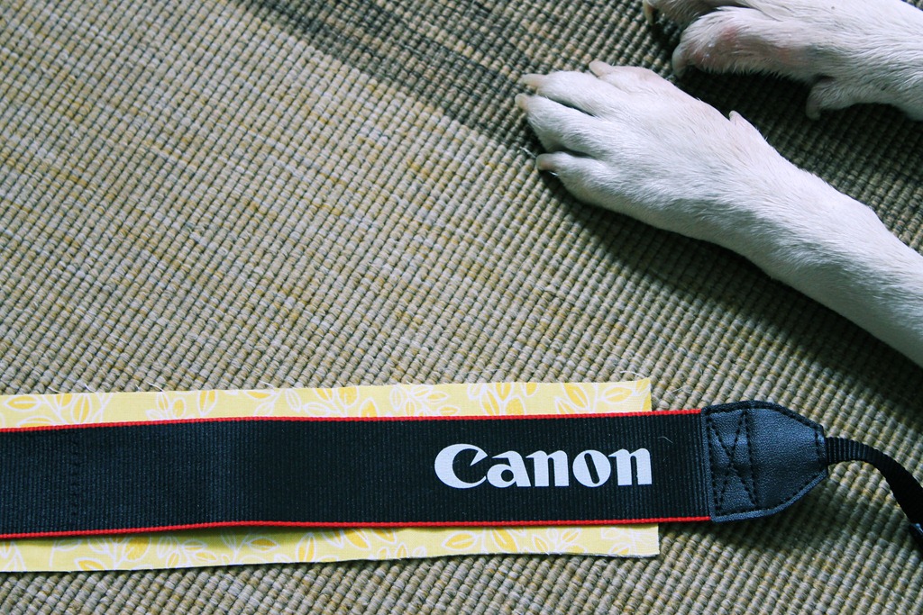 [fabric%2520jellyroll%2520camera%2520strap%2520easy%2520diy%255B5%255D.jpg]