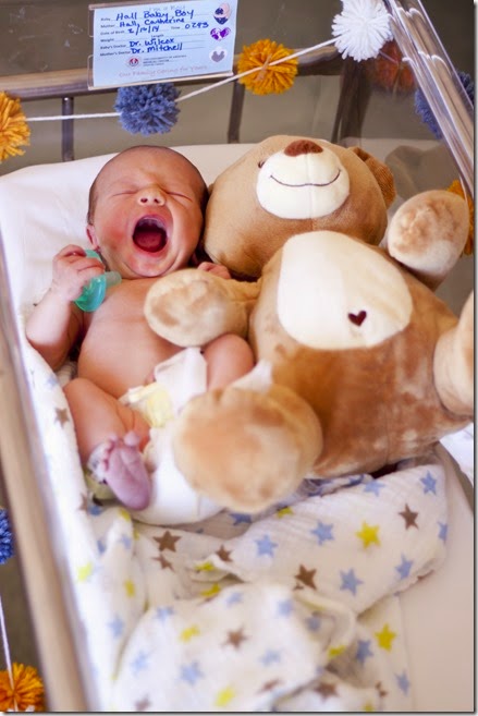 carterbear2