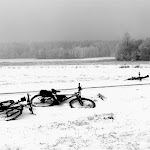 IMG_0979.JPG