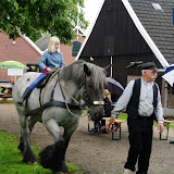 IMGP6507.JPG