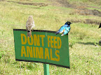DSCN6885.JPG