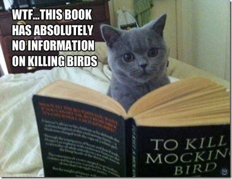 lolmockingbird
