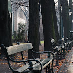 DSC_4868.JPG