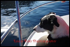Cruise 010