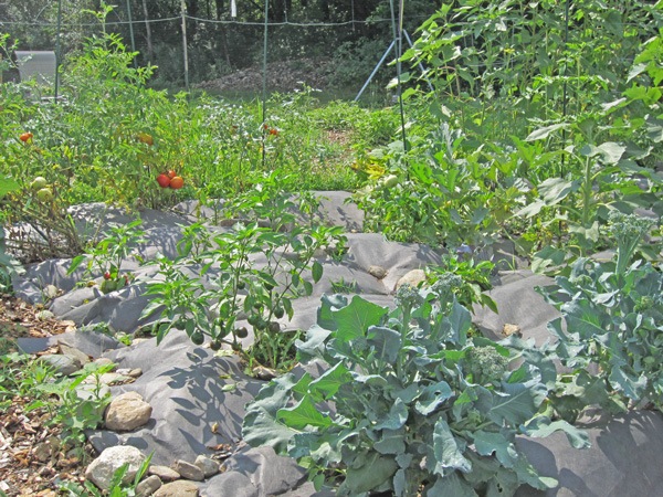 [BCG_8Aug2011_4%255B2%255D.jpg]