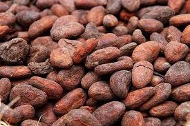 [cocoa%2520beans%255B3%255D.jpg]