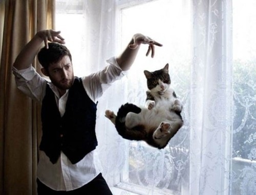 [strange-cats-expain-that-11%255B2%255D.jpg]