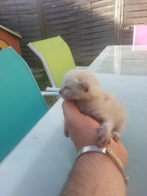 20130521_082525.jpg