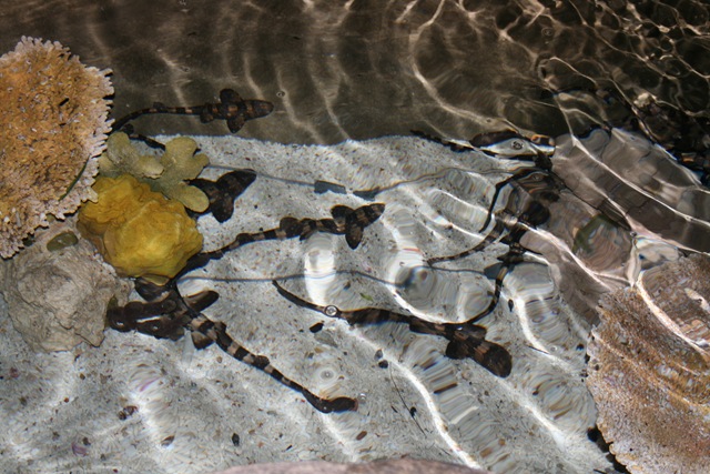 [IMG_75143.jpg]