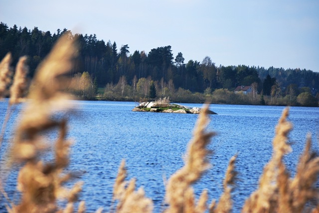 [Autumn%25202011%2520-%2520Forest%2520Lake%2520Oct%252016%255B3%255D.jpg]