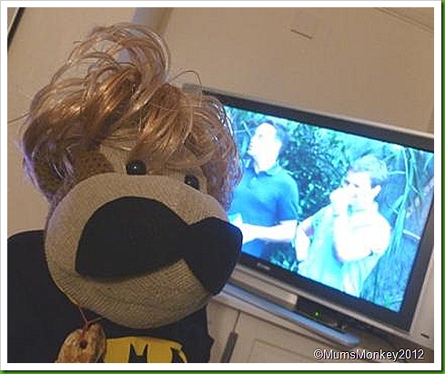 I'm A Celebrity I'm A Celebrity