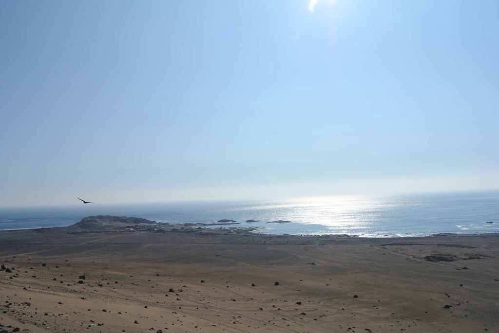 [DSC_75993.jpg]