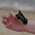 P1070807