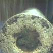 Picture 12.jpg