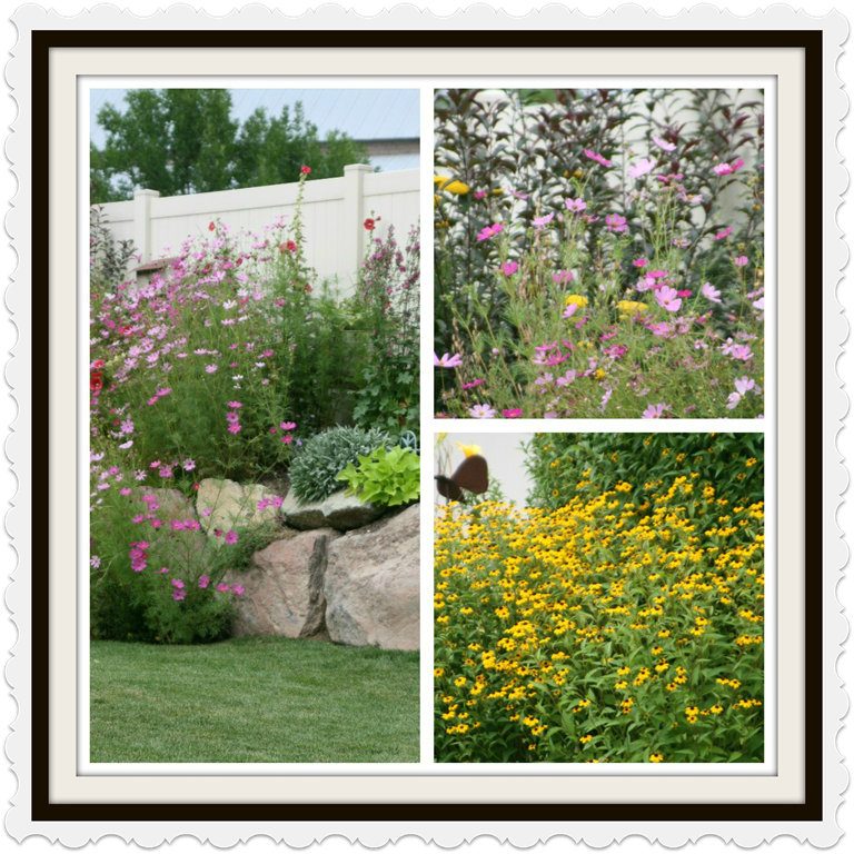 [PicMonkey%2520Collage%255B4%255D.png]