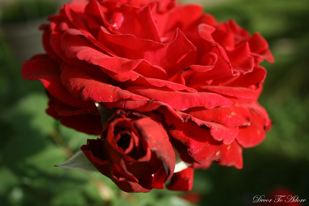 [sis%2520b%2520day%2520108%255B3%255D.jpg]