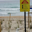 A Gull With Oil On Its Beak And Feet Stands In Front Of The Sign That Says It All - Tauranga, New Zealand