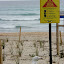 A Gull With Oil On Its Beak And Feet Stands In Front Of The Sign That Says It All - Tauranga, New Zealand