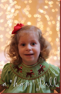 Christmas card 2011 090