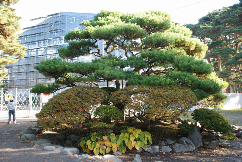 hokkaido_123.jpg