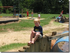 IMG_7508 IMG_7508
