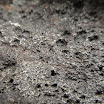 DSC00246-1.jpg