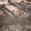 P1010019.JPG