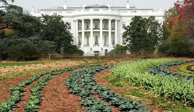 [White-House-Vegetable-Garden%255B7%255D.jpg]
