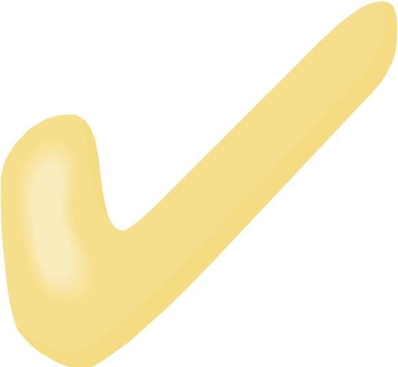 [checkmark13.jpg]