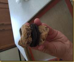 Chocolate Chip Oreo Cookies9