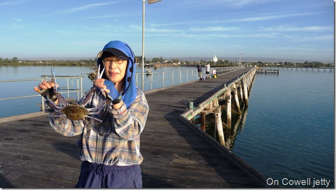 Cowell jetty