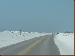 IMG_6262 IMG_6262