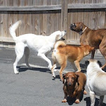 DSCN5067.jpg