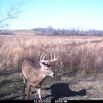 Cdy00124.JPG