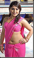 actress-farzana-hot-in_pink_saree