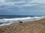 The past winter, while mild in terms of temperature and amount of snowfall, still had many violent storms that caused a lot of sand from the beach to wash away.