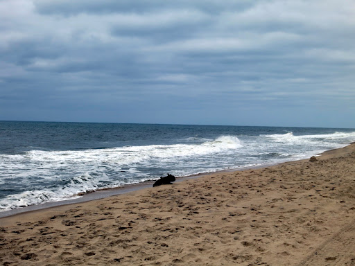 The past winter, while mild in terms of temperature and amount of snowfall, still had many violent storms that caused a lot of sand from the beach to wash away.