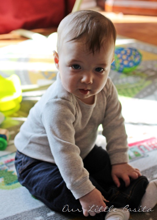 [tobysitting%255B2%255D.jpg]