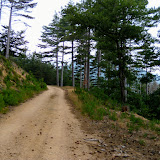 La pista che serpeggia tra i colli de la Foret Domaniale des Monts d'Orb.