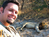 Then we encountered a lazy male lion. South Africa - 503.jpg