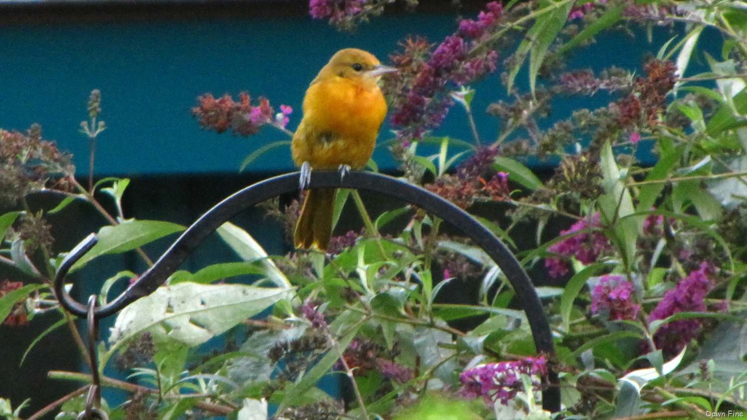 [Wellfleet%2520Audubon_004.jpg]