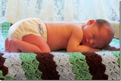 Nolan's Newborn Portraits