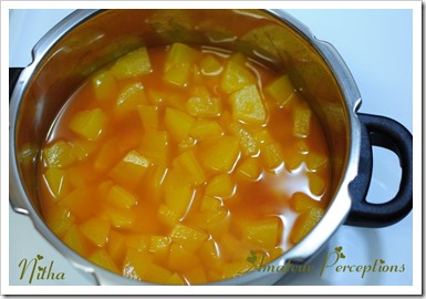 Vellarikka Curry 6