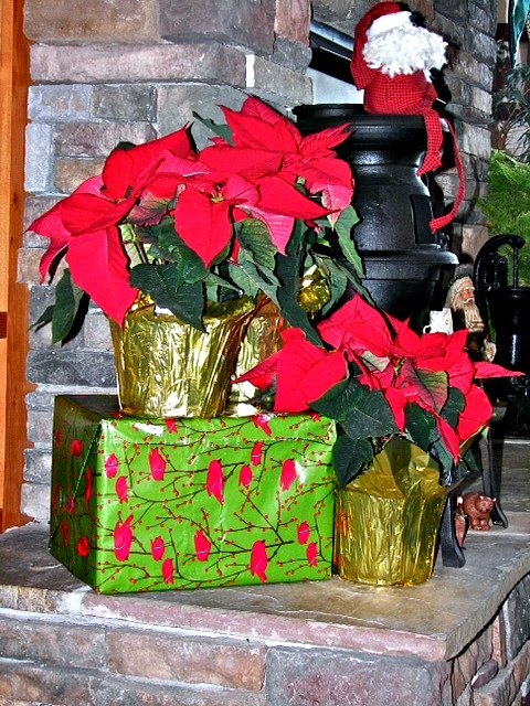 [Montana%2520Xmas%2520fireplace%2520%25282%2529%255B5%255D.jpg]