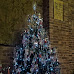 P1210529_copy.jpg