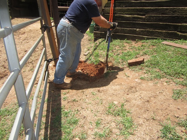 IMG_1002.JPG IMG 1002