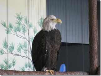 IMG_5367 IMG_5367