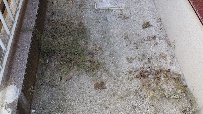 2014-05-11 07.48.23.jpg