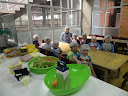 Projeto Culinária_ turma 061
